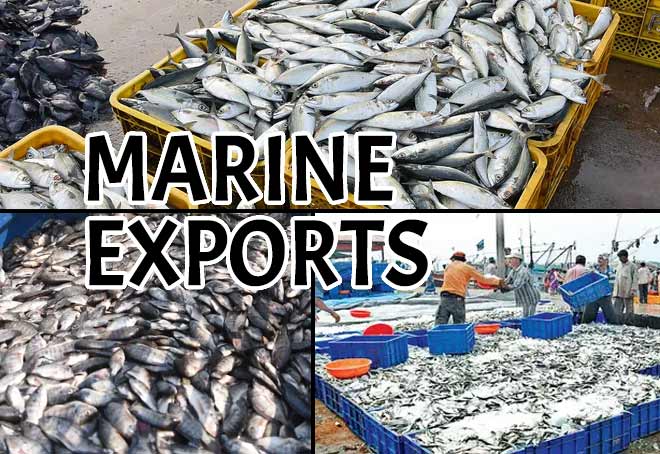 MPEDA targets $20 billion exports in next 5 years