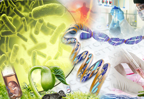 Unique innovations in medical science & bio-technology on display at Rashtrapati Bhavan