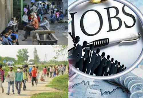 Delhi govt to provide jobs to COVID hit migrants & labourers