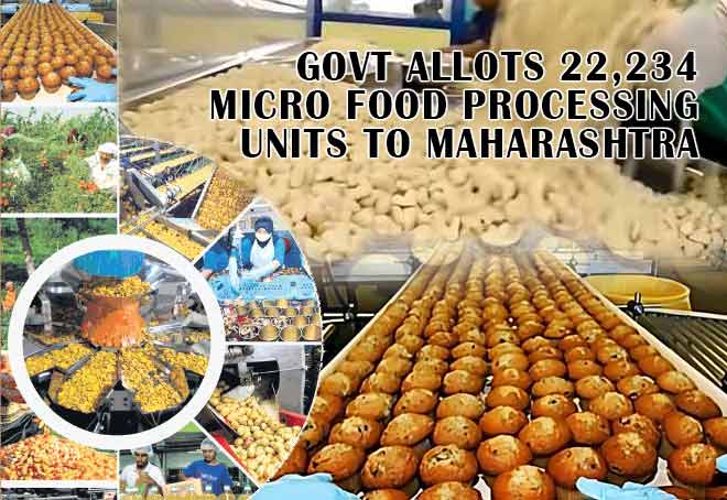 Govt allots 22,234 micro food processing to Maharashtra