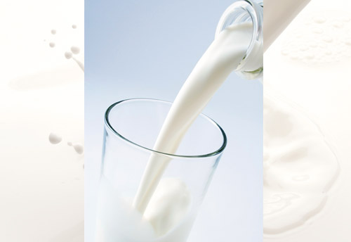 India extends prohibition on import of milk products from China till June 2017
