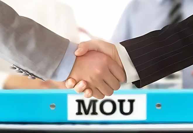Assam govt to ink MoUs for investment worth Rs 8,000 crore in multiple sectors