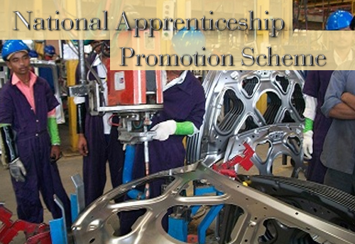 Cabinet approves the National Apprenticeship Promotion Scheme
