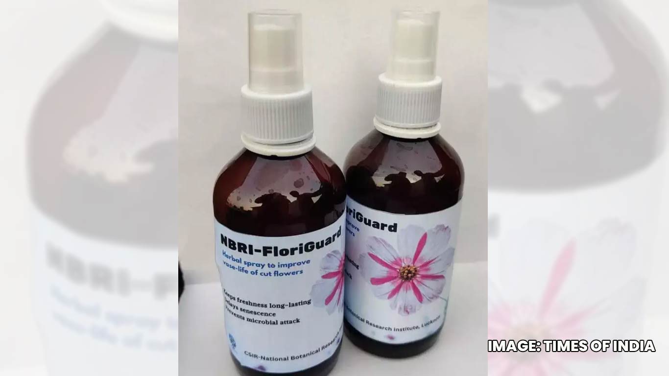 New Spray Keeps Flowers Fresh for Days, Boosting India’s Floriculture Exports