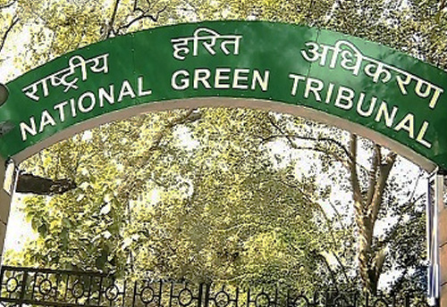 NGT orders closure of industrial units in residential areas in Delhi