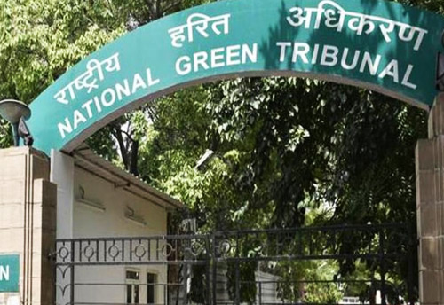 NGT seeks action report from DPCC on defaulting industries 