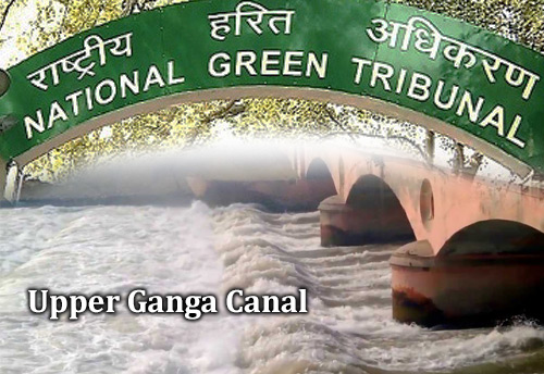 NGT slaps UP Govt with Rs 25 lakh fine for failing to stop pollution of Upper Ganga Canal