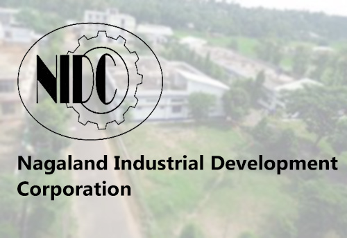 Entrepreneurs should be nation builders and not just wealth creators: NIDC Advisor