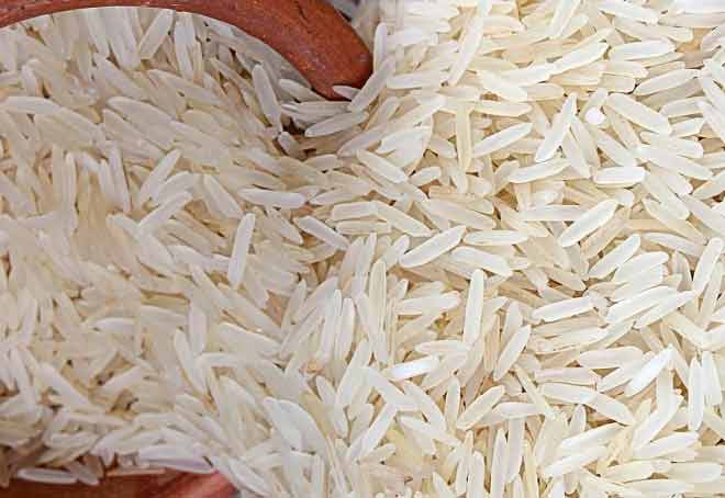 IMF pushes India to lift export restrictions on non-basmati white rice