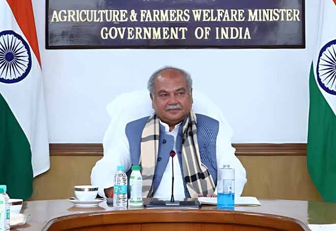 Govt approves formation of advisory group to track developments in Bamboo sector