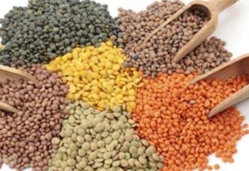 Pulses made free for export without any quantitative ceiling