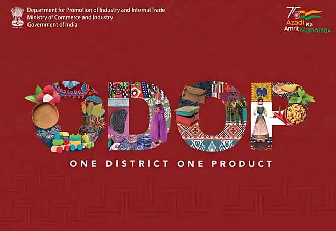 Govt identifies 1,068 products across 761 districts under ODOP scheme: DPIIT