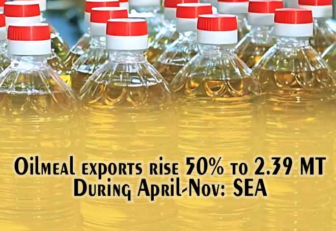 Oilmeal exports rise 50% to 2.39 MT during April-Nov: SEA