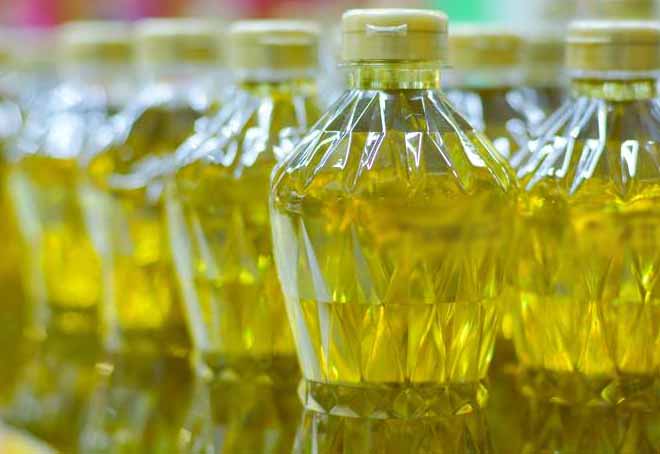 Oil meal exports from India grow by 19% in July: SEA