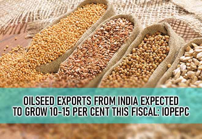 Oilseed exports from India expected to grow 10-15 per cent this fiscal: IOPEPC