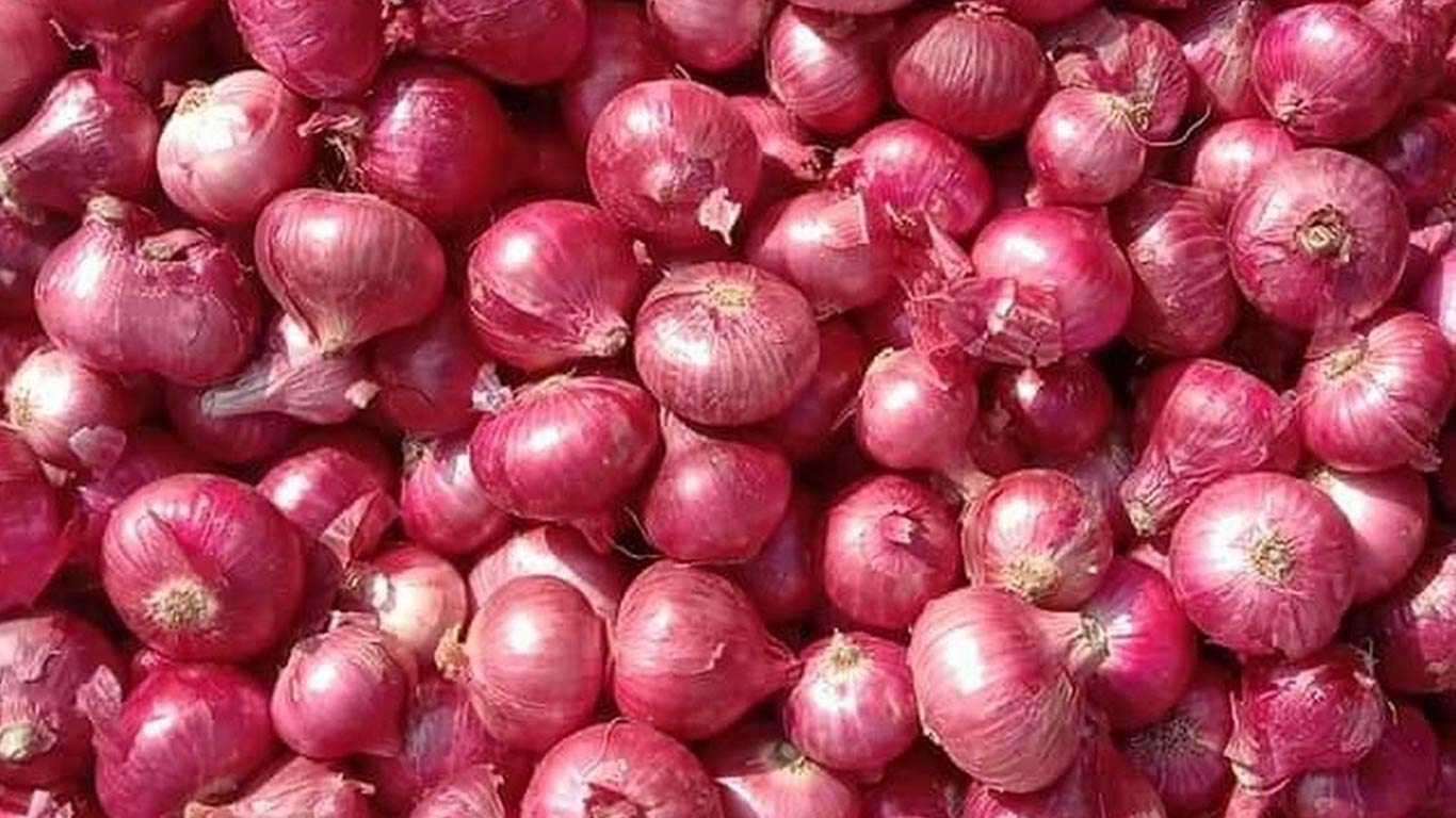 India’s Onion Export Ban Majorly Impacts Asian Buyers