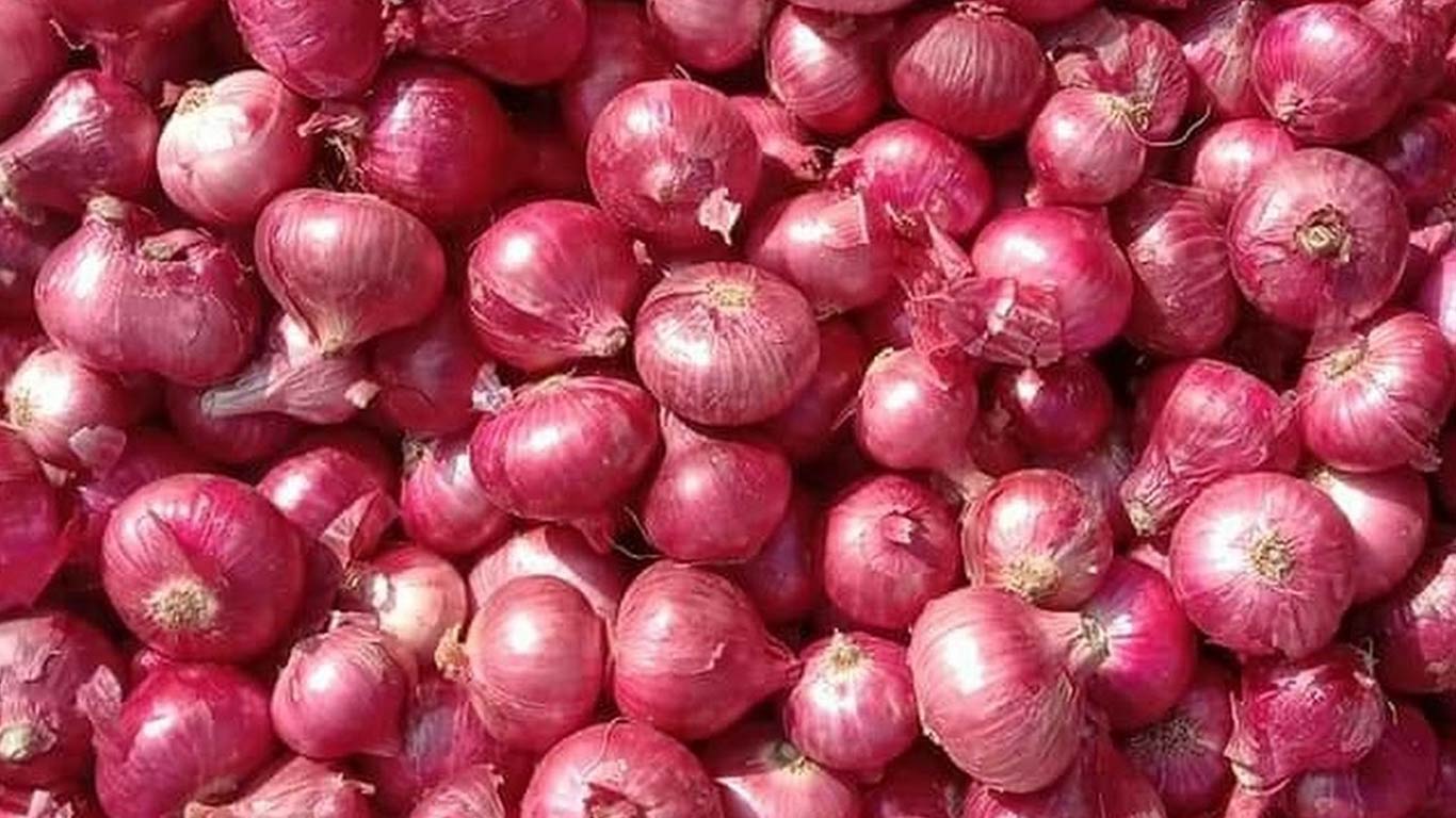 Government To Purchase 5 Lakh Tonnes Of Onions From Farmers Amid Recent Export Ban