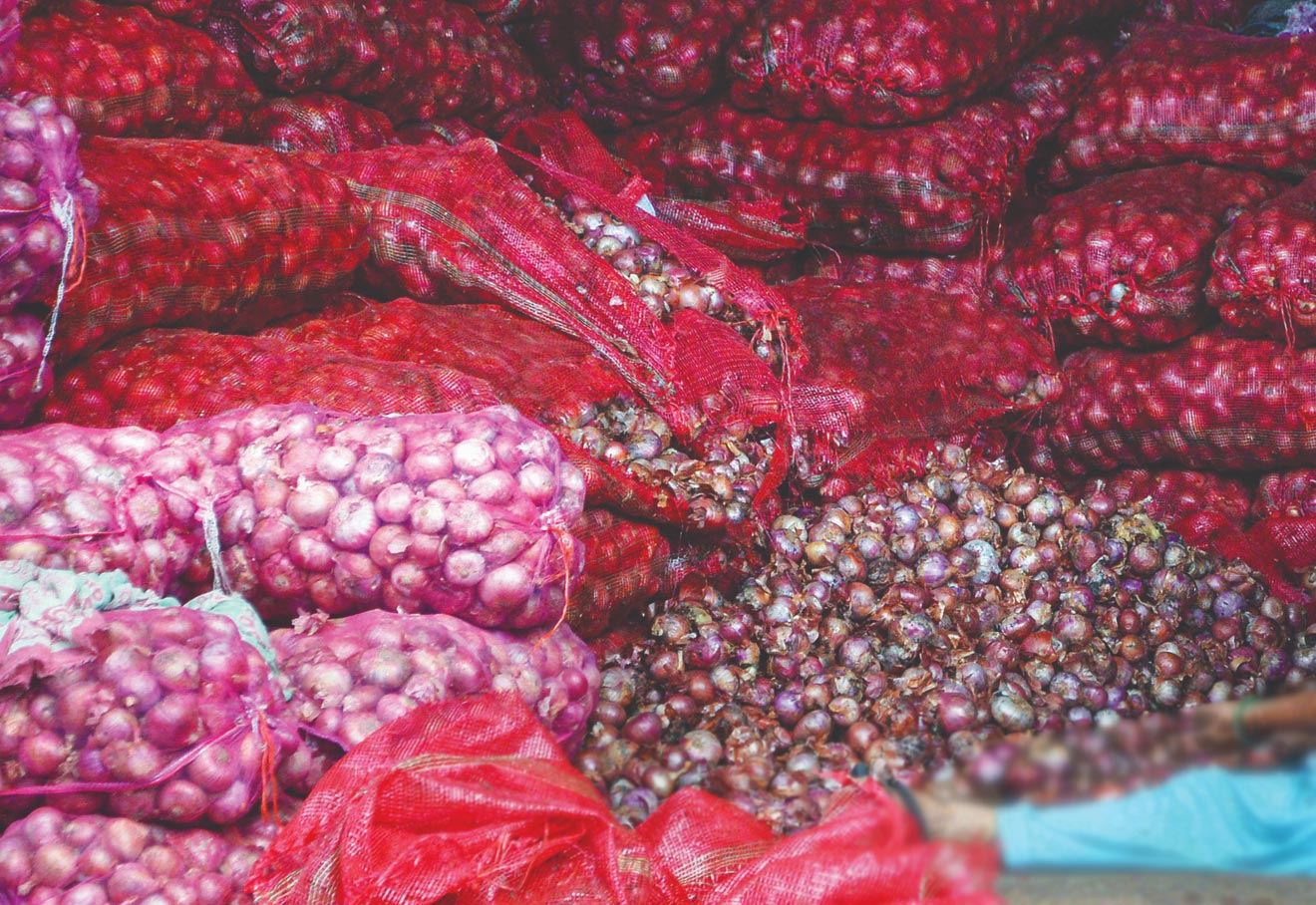 Govt Turns Down Onion Traders’ Demand To Scrap 40% Export Duty