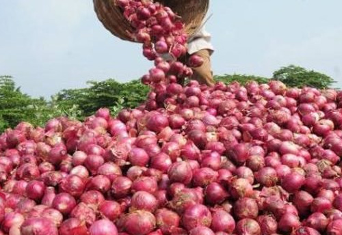 Govt removes MEIS benefits from export of onions