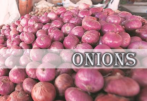 Onion Dehydration Units in Gujarat are at dying stage due to rise in unsold stocks
