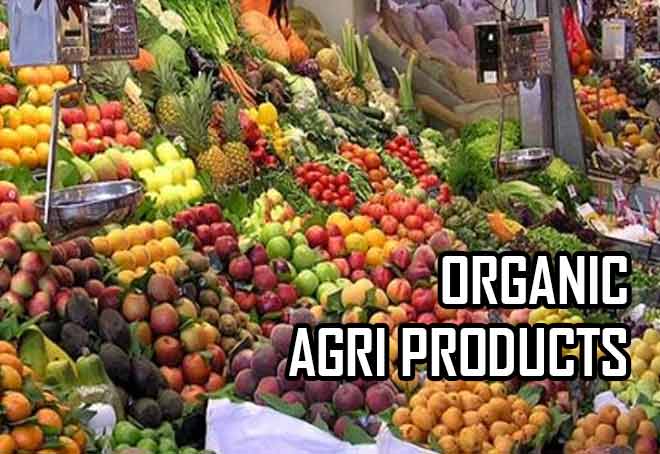 Sikkim entrepreneurs being skilled to market organic Agri products