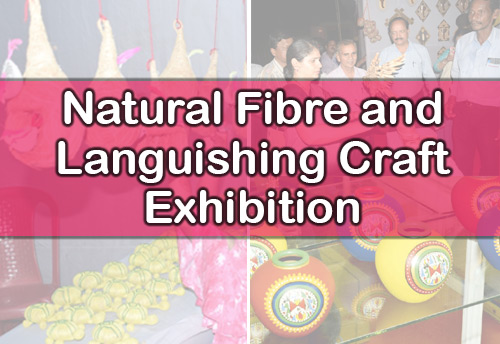 As many as 100 artisans to exhibit handicrafts at 6 day 'Natural Fibre and Languishing Craft Exhibition'