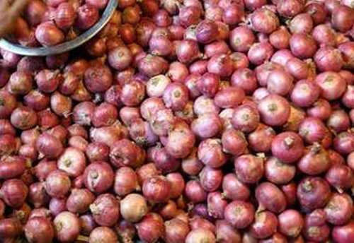 Onion export prohibited untill further notice to check soaring price