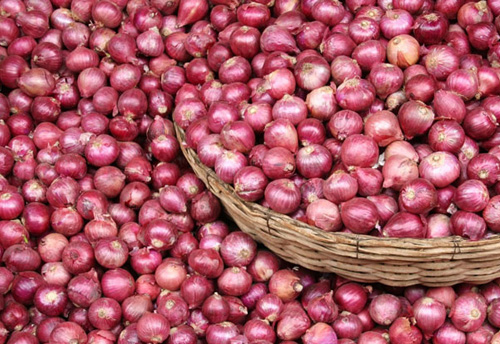 Govt is exploring all possible measures to improve the availability of Onion in domestic market: DGFT