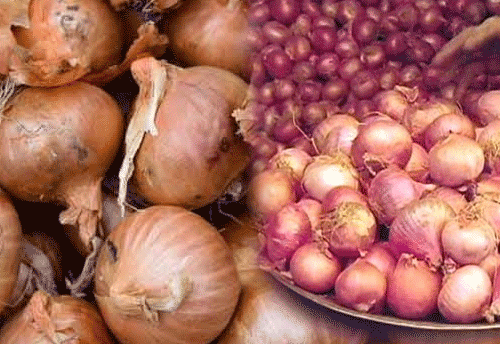 Govt rolls out strategy to maintain stocks of onions, MEP chalked at $850 per tonne