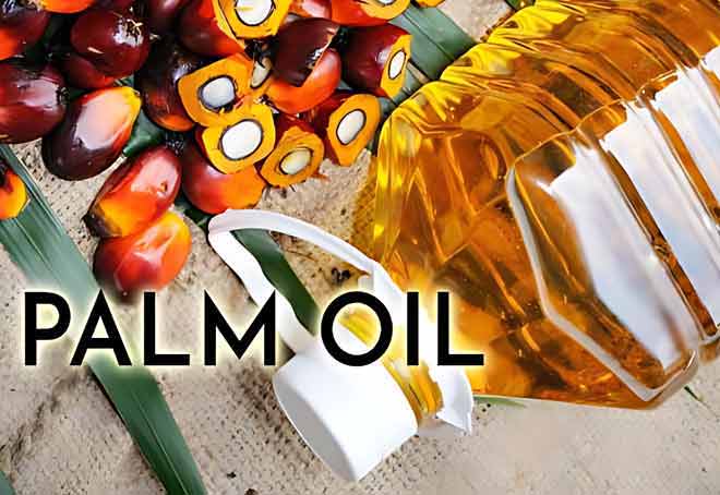 Mustard Oil Producers Association demand 20-25% hike in import duty on palm oil