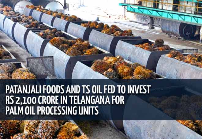 Patanjali foods and TS oil fed to invest Rs 2,100 crore in Telangana for Palm Oil Processing Units