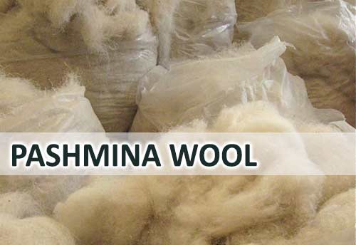 4 KVIC approved Khadi institute to produce pashmina wool in Varanasi from January 2022