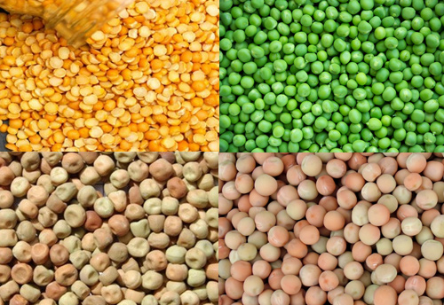 DGFT withdraws notification extending restriction on import of peas till Sept 30, 2018