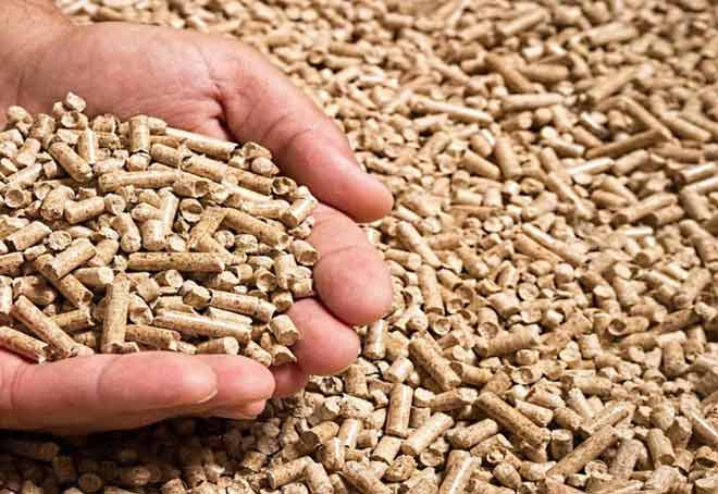 CPCB proposes subsidy for pellet manufacturers to promote green fuel