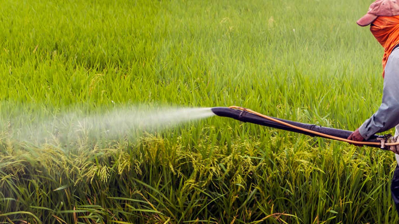 Government Cancels 7,000 Pesticide Firm Registrations Over KYC Non-Compliance