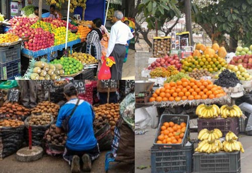 Govt should direct Police to not stop or interfere in street vending once they have a proper pass: NASVI