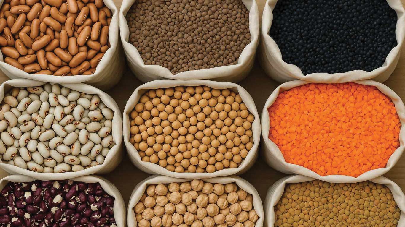 Pulse Mission With Rs 11,440 Cr To Enhance Cultivation & Reduce Imports