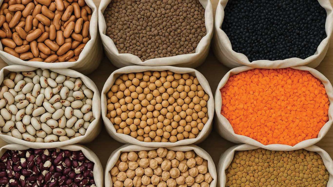 Niti Aayog Charts Roadmap to Make India Self-Sufficient in Pulses by 2030