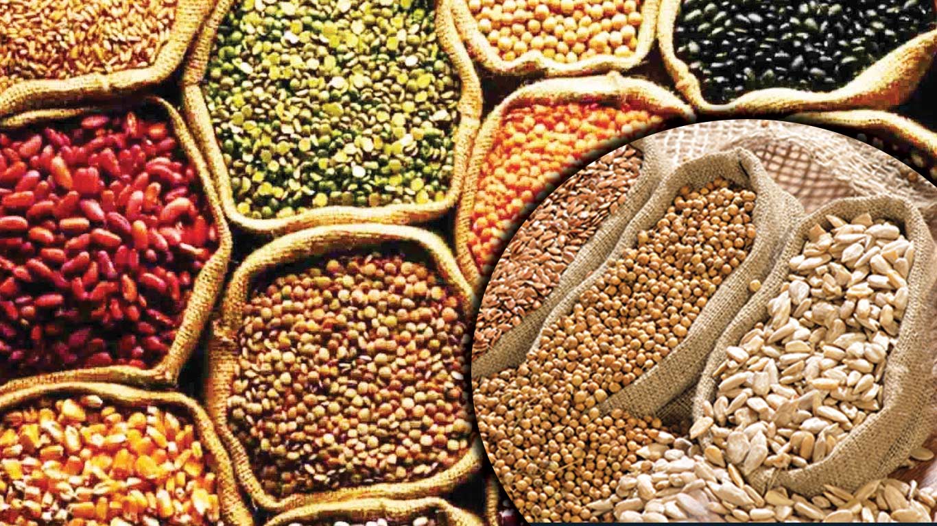 UP & Gujarat Farmers To Benefit From Rs 13,890 Cr Procurement Of Pulses & Oilseeds