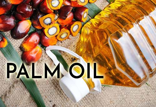 Govt move to boost palm oil production in India lauded