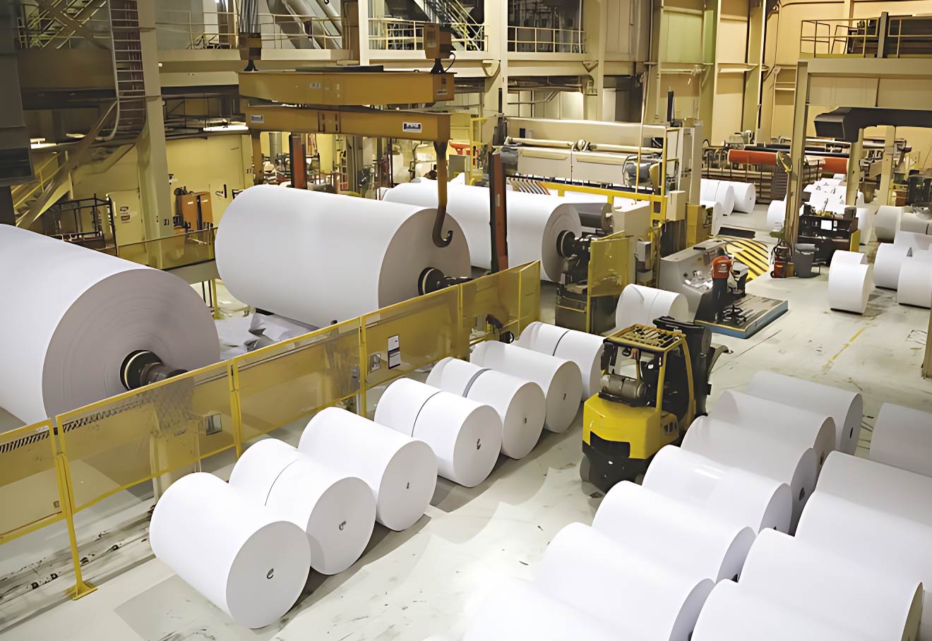 India's Paper Industry Achieves 20% Reduction in Energy Consumption Over Five Years: IPMA