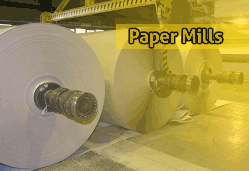 Paper Mills suffering due to cheaper imports, govt must impose duty: IPMA
