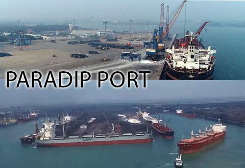New Container Scanner installed by Paradip Port to reduce logistic time