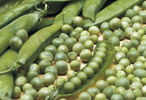 Govt removes restrictions on imports of pea seeds