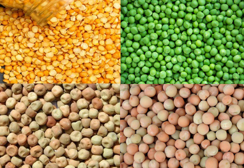 Commerce Ministry extends import restrictions on peas till March 31, 2019