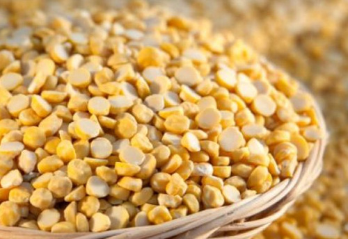 Restrictions on import of yellow peas extended till September 30, 2018