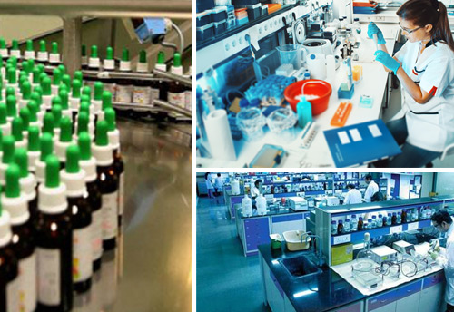 Vice Prez urges pharma industry to remain committed to high standards of quality in drug manufacturing
