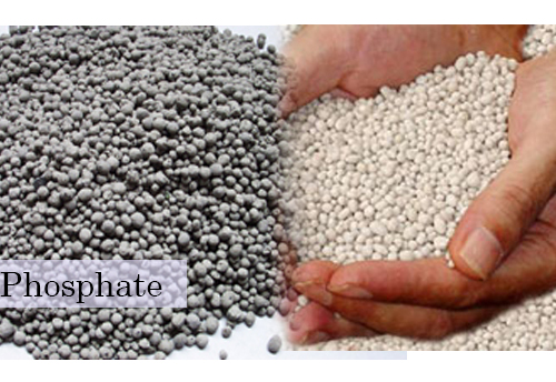 Cabinet approves removal of minimum capacity utilization criteria for Single Super Phosphate Mfg Units