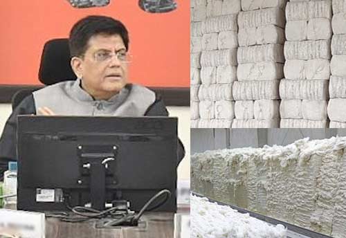 Union Minister Piyush Goyal directs authorities to finalise extension of exemption from import duty on cotton till Dec 31