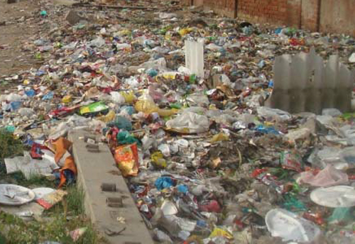 Minimum thickness of plastic carry bags increased from 40 to 50 microns’: Javadekar